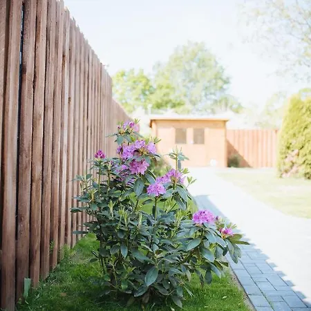 Ferienhaus Rostocker Stadtidyll *