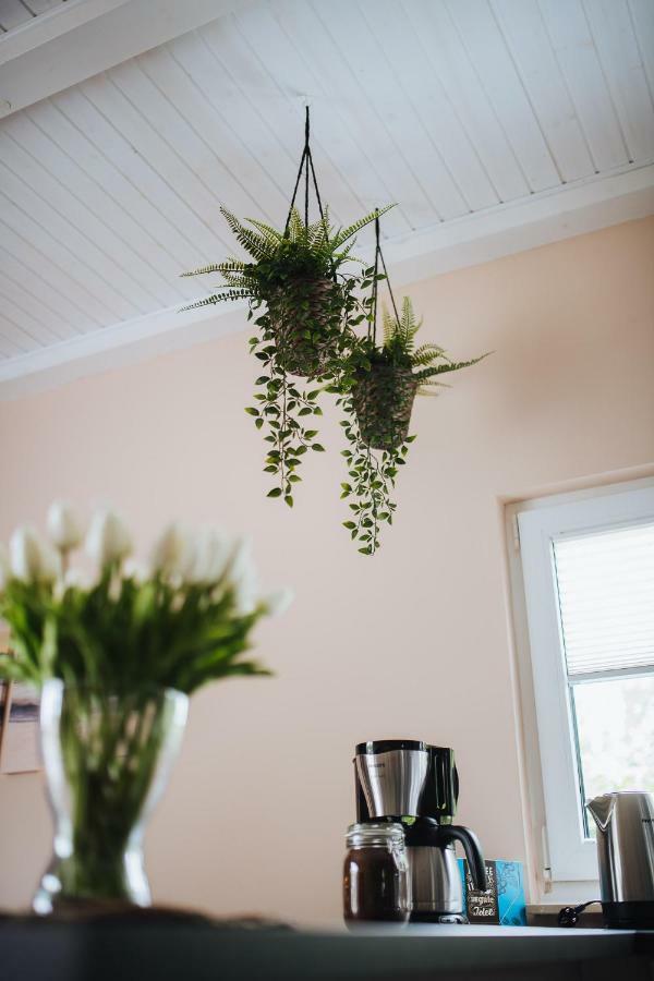 Rostocker Stadtidyll Rostock